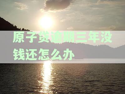 原子贷逾期三年没钱还怎么办