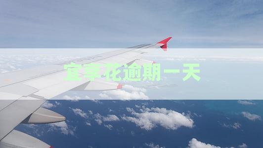 逾期一天还款后，宜享花贷款还能借吗？探究逾期处理对信用的影响》