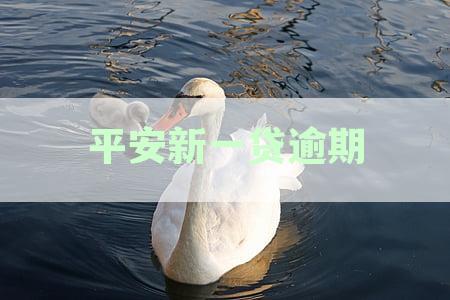 平安新一贷逾期了,跟银行协商可以展期吗-平安新一贷逾期后应该跟哪协商