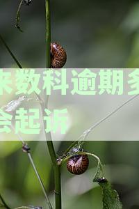 我来数科逾期多久他会起诉