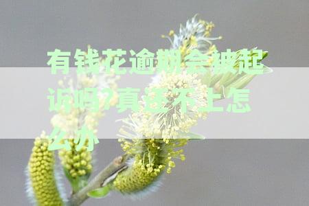 有钱花逾期会被法律起诉吗：逾期还款的法律风险探究