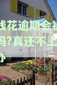 菏泽资讯：有钱花逾期是否会导致坐牢，逾期后果详解