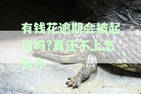 全面解析：有钱花逾期不还的后果与潜在影响