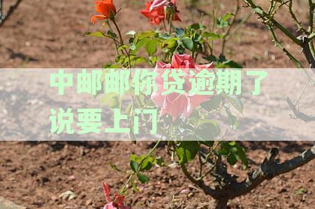 中邮消费金融逾期催收：邮邮你贷启动上门追讨程序