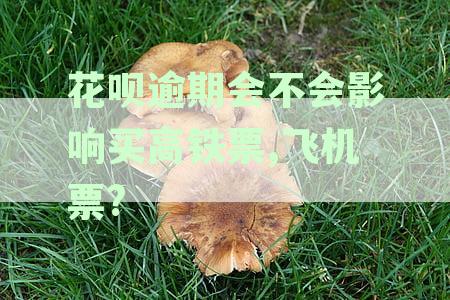 花呗逾期会影响买车票、高铁票之类的吗，逾期不还影响购票吗？