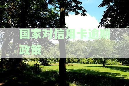 最新国家信用卡逾期政策解读：2023年用卡信用逾期政策全面分析