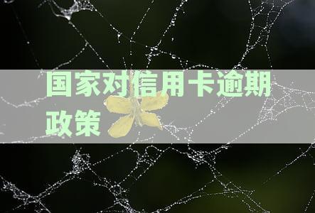 国家对信用卡逾期政策有哪些：2020年及最新规定与补贴措