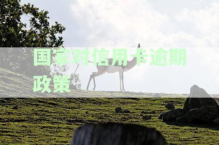 全面解读：我国信用卡逾期还款政策及应对措解析