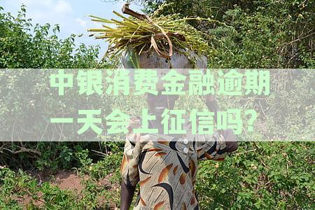 中银消费金融逾期几天-中银消费金融逾期几天在征信报告上有记录