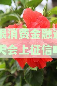 中银消费金融逾期一年问题追踪：原因、影响及解决方案分析