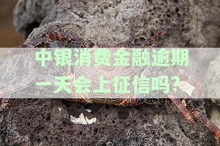 中银消费金融逾期一天会上征信吗?