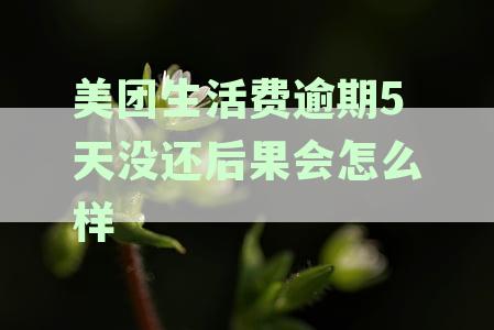 美团生活费逾期5天没还后果会怎么样-美团生活费逾期5天没还后果会怎么样