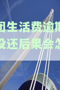 生活费逾期5天还款难题：如何解决后果自负的困境及处理逾期问题？