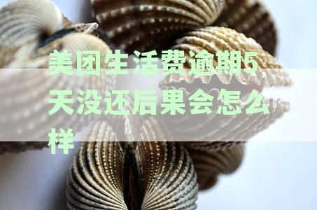 美团生活费逾期还款对征信影响解析：逾期天数、解决方案及预防措