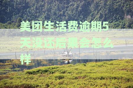 美团生活费逾期5天没还后果会怎么样