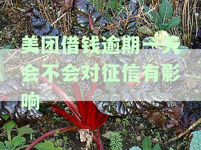 美团借钱逾期一天会不会对征信有影响信用卡使用及征信记录影响解析