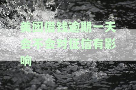 信用卡与借款逾期一天会对信用及征信使用产生何种影响？
