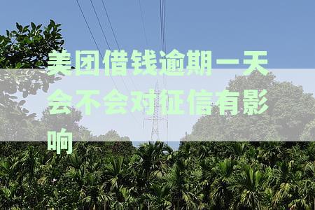美团借钱逾期一天会不会对征信有影响信用卡使用及上征信情况说明