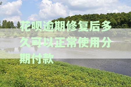 逾期还款后，花呗修复多久才能恢复使用分期付款功能？