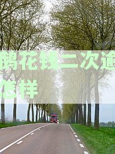 小鹅花钱逾期还款对征信记录的影响及处理逾期指南