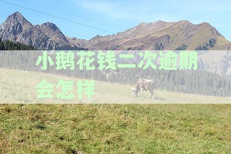 小鹅花钱逾期一天内要求全额一次性结清还款求全