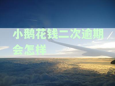 深度解析：小鹅花钱逾期2年真实案例及应对策略，逾期后果与解决方案一览