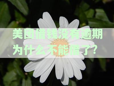 美团借款失败原因解析：为何无逾期记录仍无法成功借款全揭秘