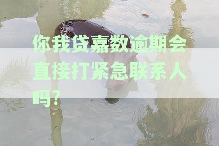 全面解析：你我贷嘉数逾期催收流程及通讯录暴露时间节点