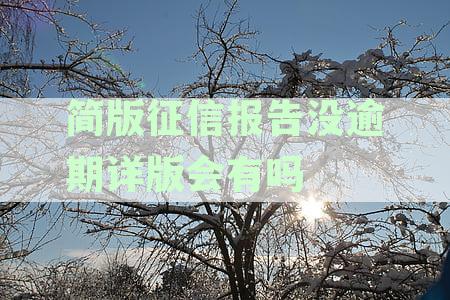 详尽解读：简版征信报告如何显示当前逾期情况及影响