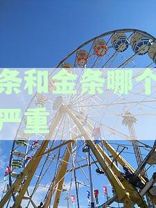 白条和金条哪个逾期严重些：探讨逾期区别及还款优先级