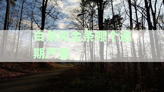金条、白条逾期还款优先级解析：如何合理安排逾期债务偿还顺序