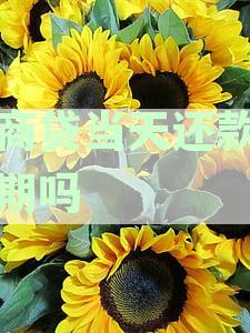 网商贷当天还款算逾期吗