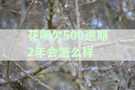 花呗欠500逾期2年会怎么样