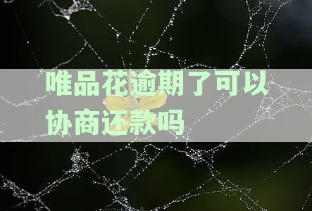 唯品花协商还款服务热线及常见问题解答：一键解决还款协商需求