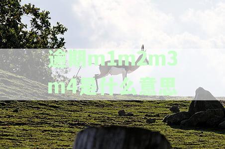 信用卡逾期M1还款具体含义是什么？详解分期还款逾期多少天停息的分别与意义