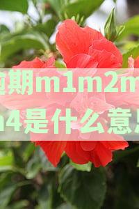 贷款逾期m1m2m3是什么意思，m0m1m2、m1m2m3m4、m1m2m3m4m5银行逾期分期解释
