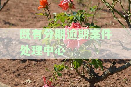即有分期案件处理中心：如何高效办理案件问题解析