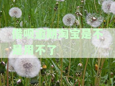 借呗逾期会影响淘宝购物及花呗使用吗？全面解析逾期后果与解决方案
