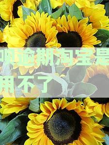 借呗逾期后淘宝还能不能正常使用，逾期是否影响淘宝使用功能？