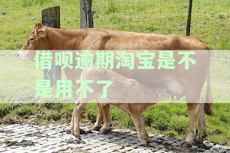 借呗逾期淘宝是不是用不了