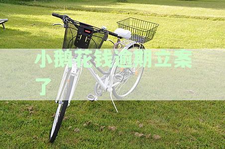 小鹅花钱逾期立案怎么办：逾期多久起诉、逾期2年亲身经历及上征信问题解析