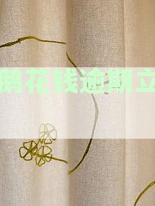 小鹅逾期十天未还款，面临起诉责任，怎么处理？——最新资讯解读