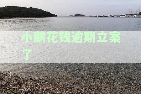 小鹅花钱逾期2万元法律风险解析：起诉可能性、后果与应对策略