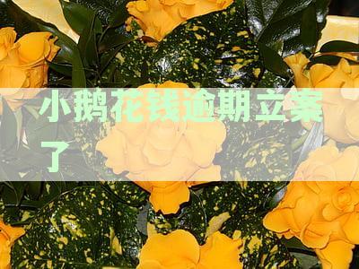 小鹅分期花钱逾期会被起诉，逾期后怎么办？怎么应对起诉？