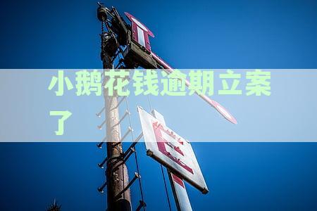 小鹅花钱逾期后果解析：逾期起诉、影响信用及应对措全解读
