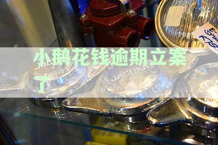 小鹅花钱逾期立案了