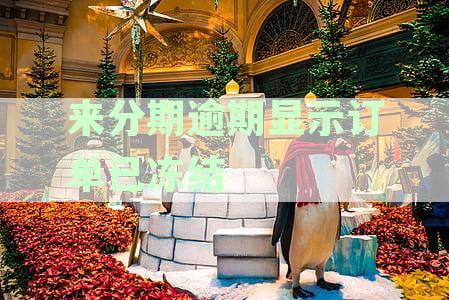 来分期订单被冻结还款受限：解决无法还款、订单冻结原因及应对策略详解