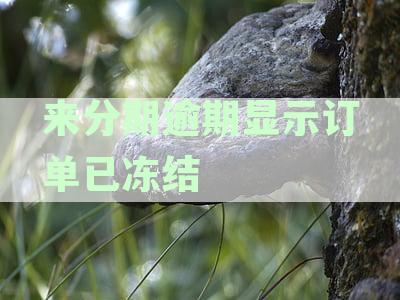 来分期逾期显示订单已冻结