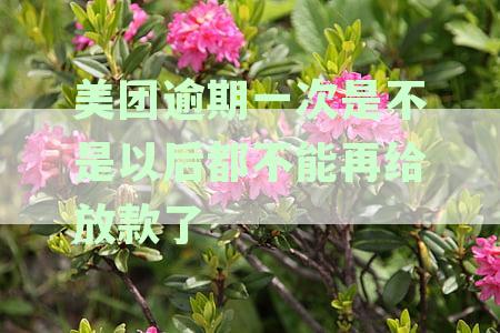 一次逾期会影响美团借款，还能再次借钱吗？——美团借款逾期一天的资讯解析