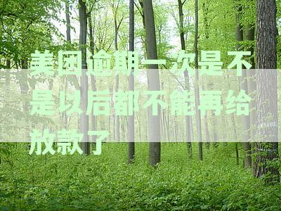 美团逾期一次是不是以后都不能再给放款了